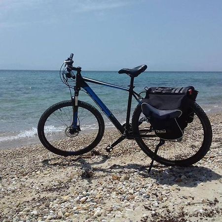 Zoi Apartments Paralia Dionysiou Dış mekan fotoğraf