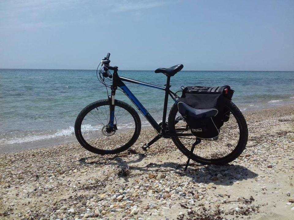 Zoi Apartments Paralia Dionysiou Dış mekan fotoğraf